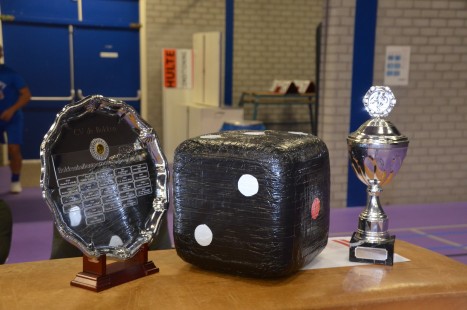 Bokkenballen toernooi